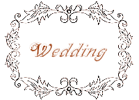 �V���K�[�N���t�g�����@���g���t�F�A���[�̃E�F�f�B���O�P�[�L