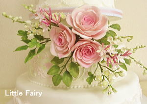 �V���K�[�N���t�g�����@���g���t�F�A���[�@�V���K�[�t�����[