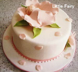 �V���K�[�P�[�L�@�V���K�[�N���t�g�����@���g���t�F�A���[